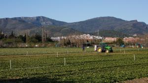 Una imagen de Parc Agrari del Baix Llobregat a la altura de Gavà