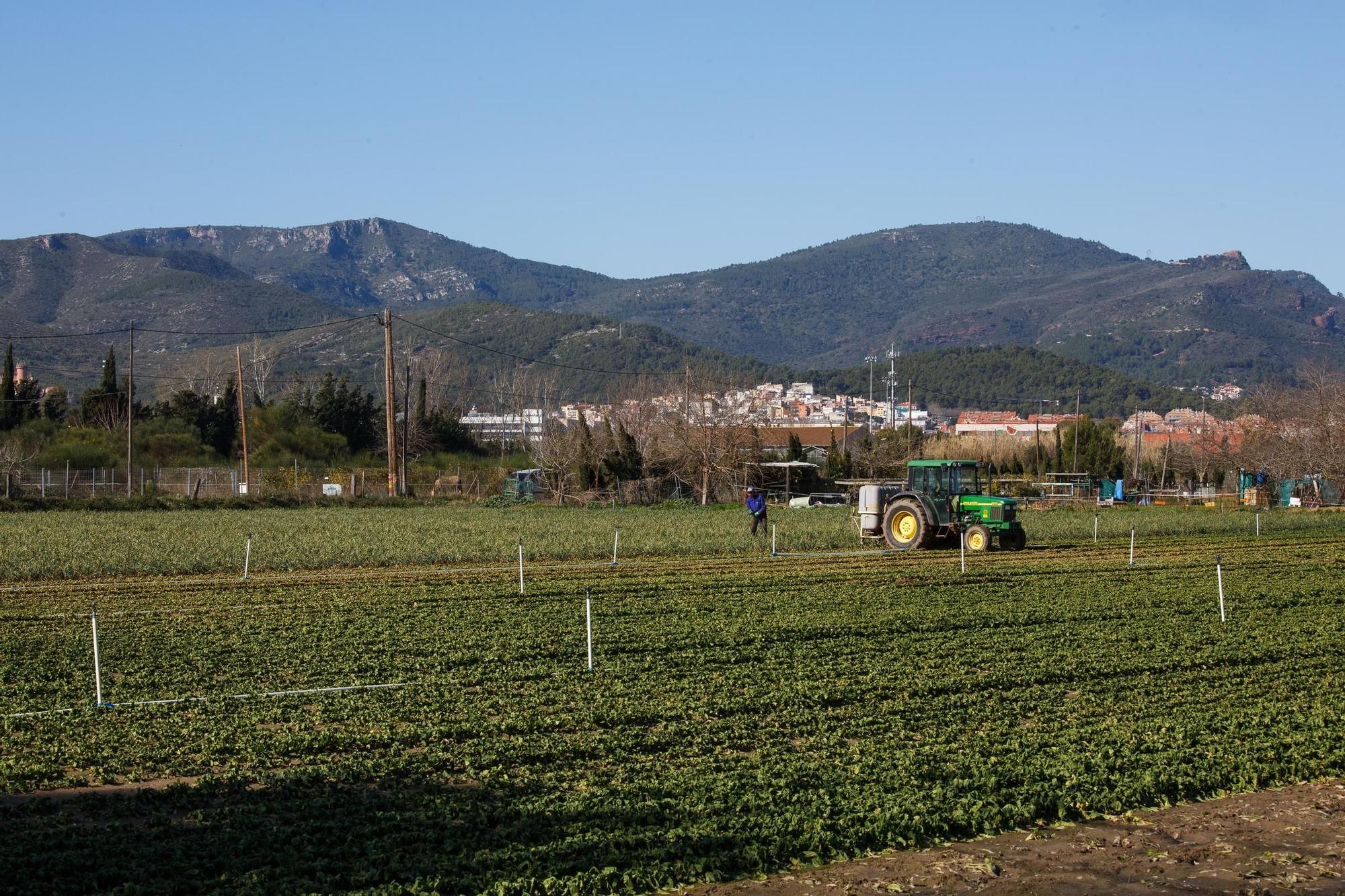 Una imagen de Parc Agrari del Baix Llobregat a la altura de Gavà