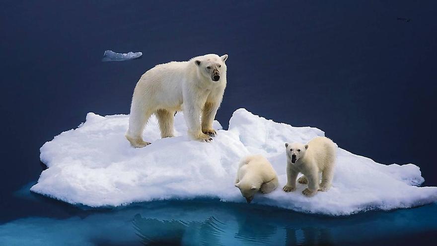 Nuevo récord absoluto de derretimiento del Ártico este invierno