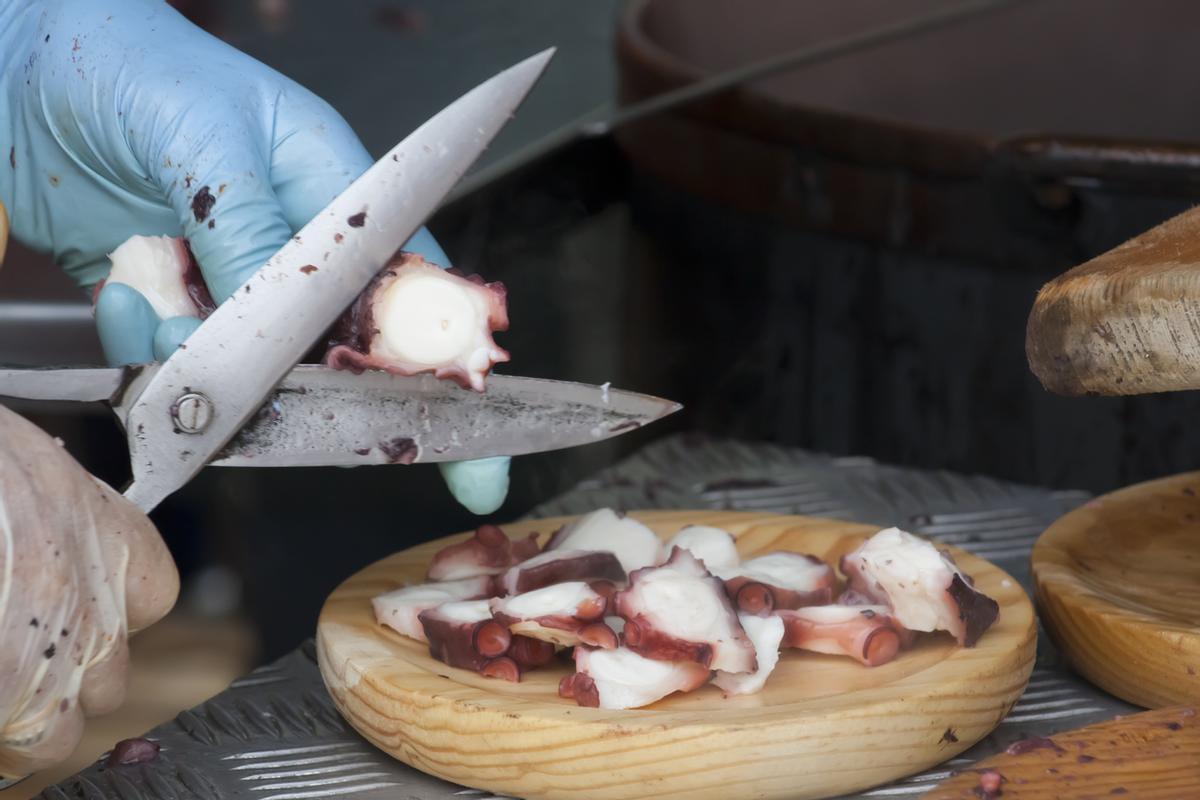 Pulpo feira "Estilo"