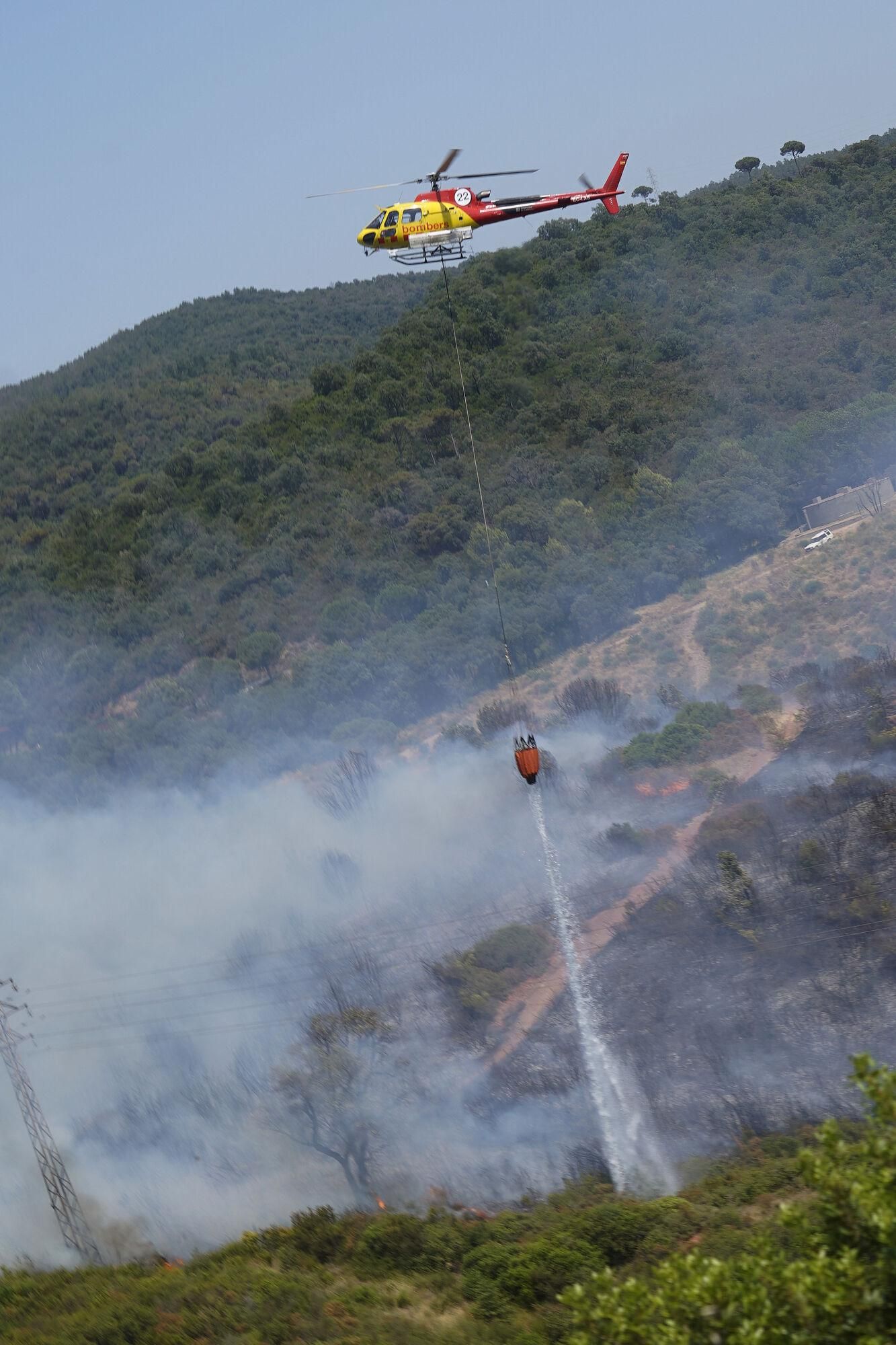 Girona zona boscosa font de la pólvora sant Daniel incendi forestal