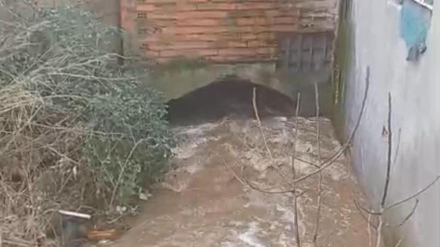 Vídeo | Desbordamiento del arroyo La Pardalilla de Plasencia