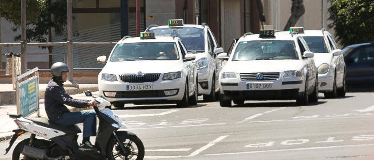 Un grupo de taxis estacionados en la parada de la calle Secundino Alonso, en pleno corazón de Puerto del Rosario.