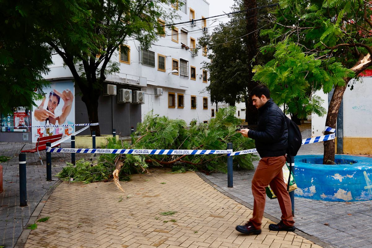 La borrasca Claudia deja un rastro de incidencias