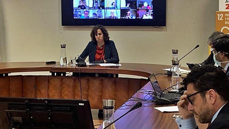 La presidenta del Consejo Superior de Deportes (CSD), Irene Lozano, en una reunión telemática con las federaciones deportivas españolas