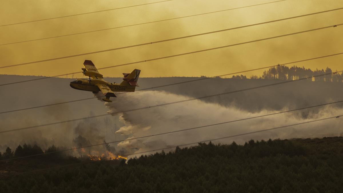 Un hidroavión descarga sobre el frente de fuego.