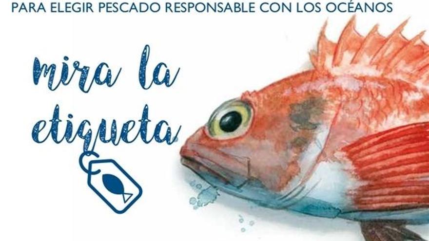 Greenpeace pedirá en Murcia un etiquetado correcto del pescado