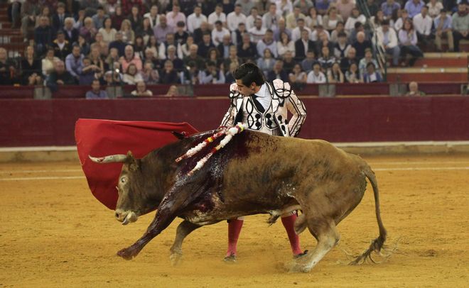 En imágenes | Novena de Feria del Pilar con el hierro de Miura