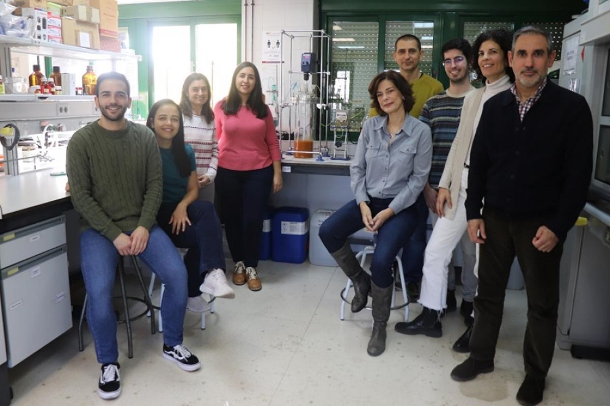 Equipo de investigadores que han trabajado en el proyecto