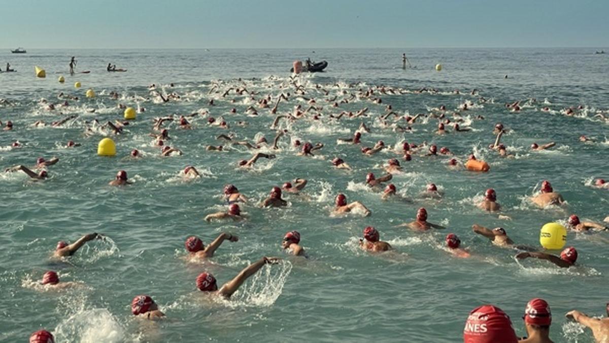 Participants de la 82a Travessia Popular de Blanes nedant