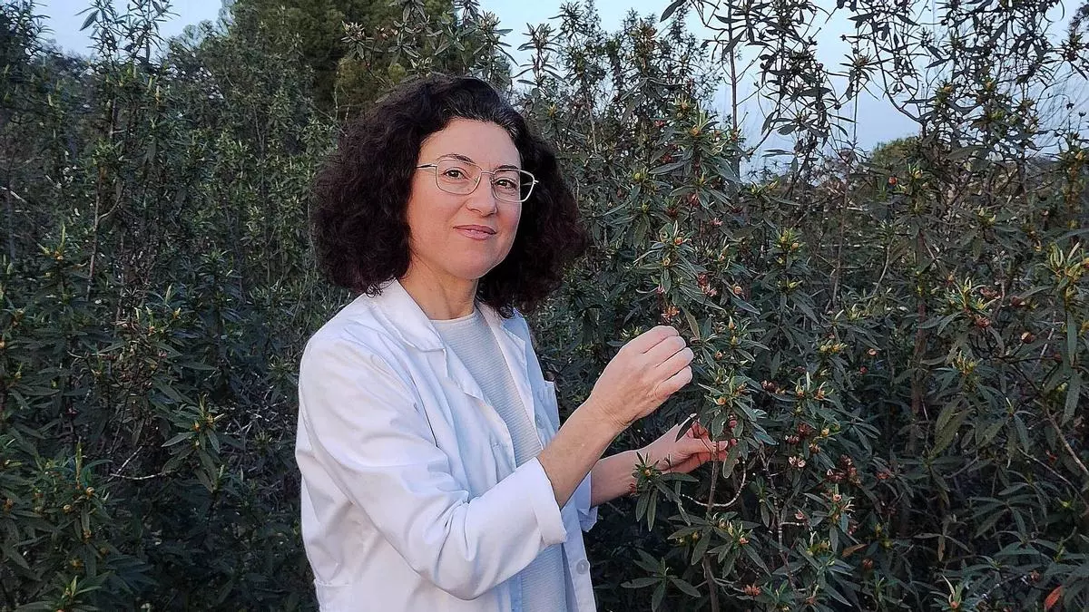 Teresa Sosa «La biomasa que se genera en la agricultura se puede aprovechar para hacer carbón y ayudar a mitigar el cambio climático»
