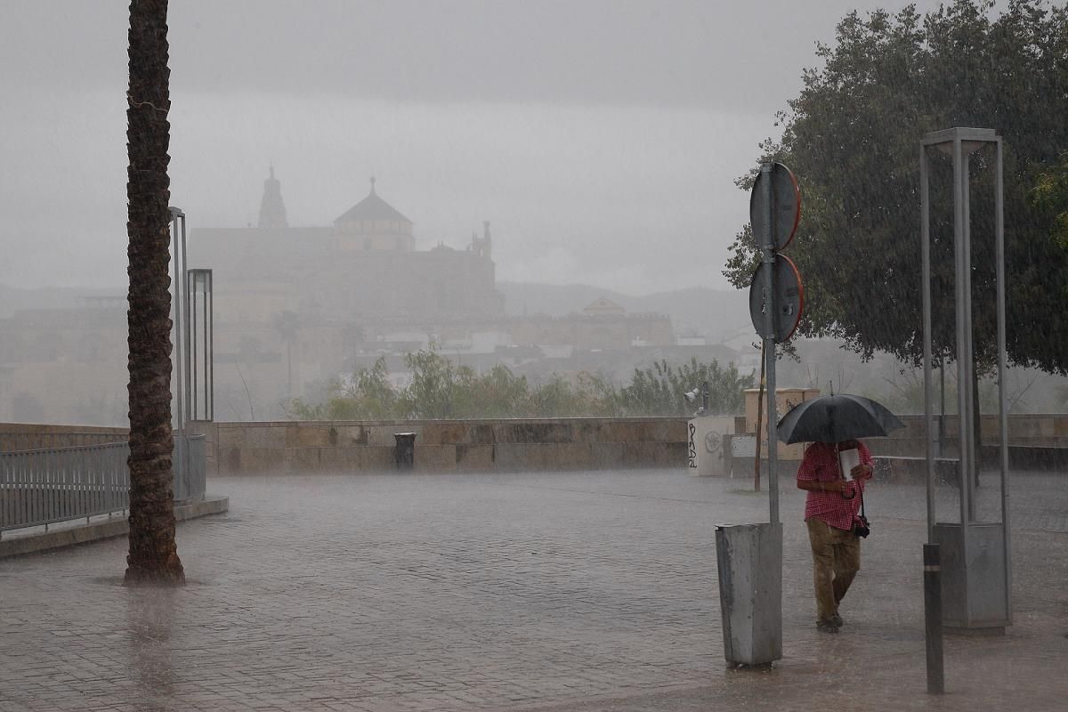 Fotogalería / Escenas de un día de otoño en agosto en Córdoba