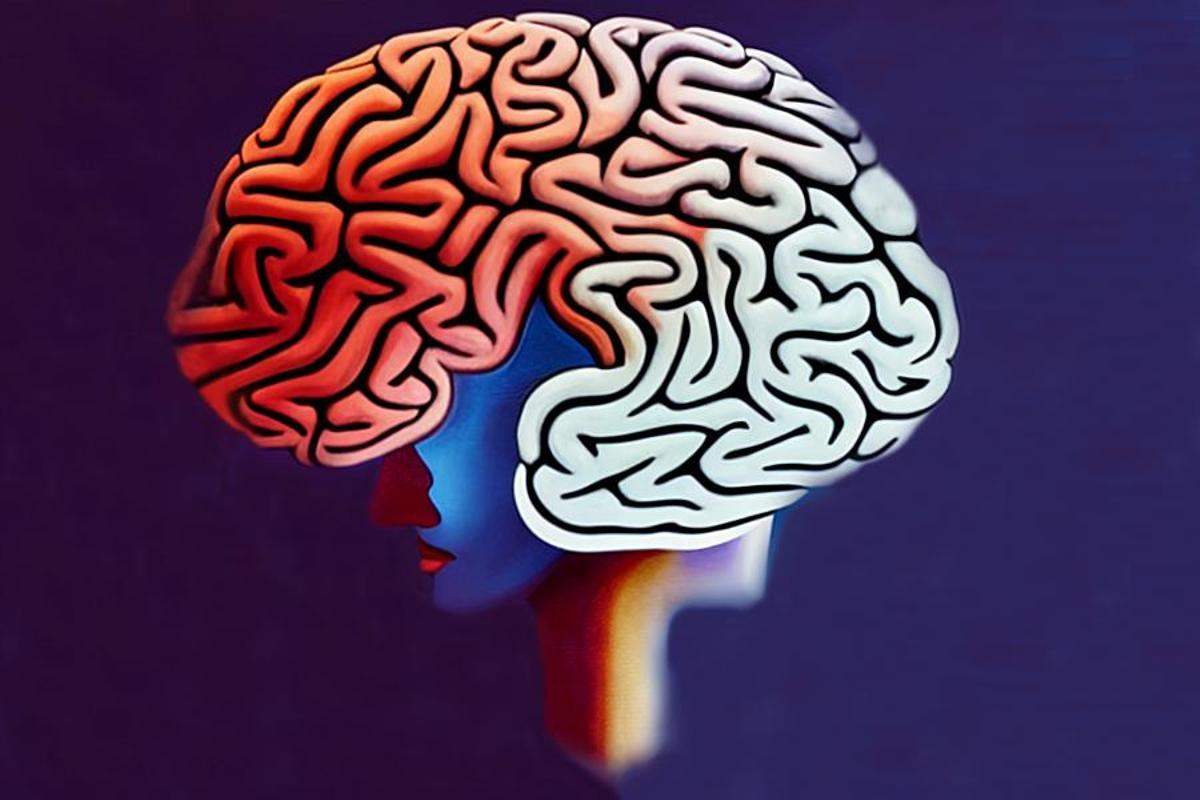 El cerebro humano y la IA programan de la misma manera.