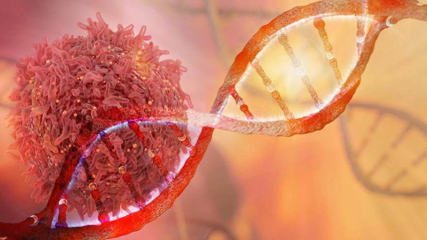 Un test genómico predice qué pacientes con cáncer responderán a la inmunoterapia
