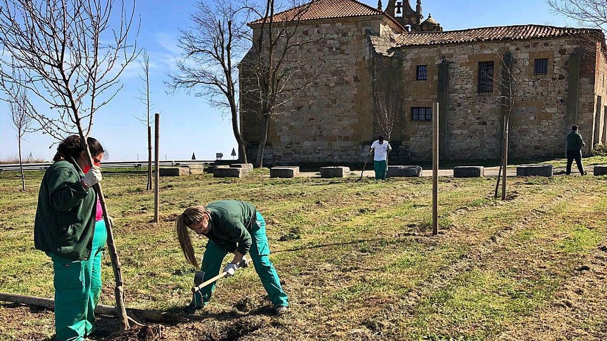 Varios alumnos del programa de garantía juvenil que han acondicionado la pradera de la ermita. | Cedida