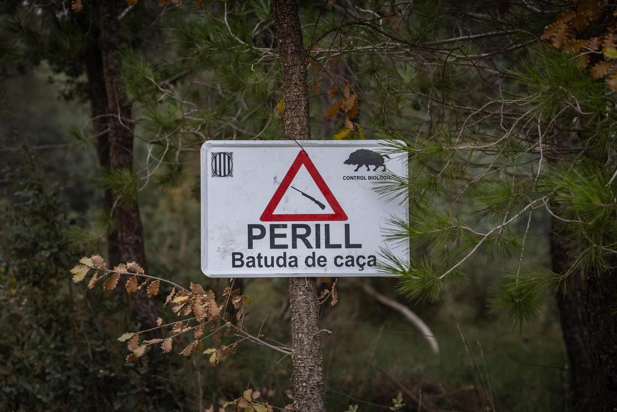 Un senyal que informa de perill perquè s'està duent a terme una batuda de caça de senglars