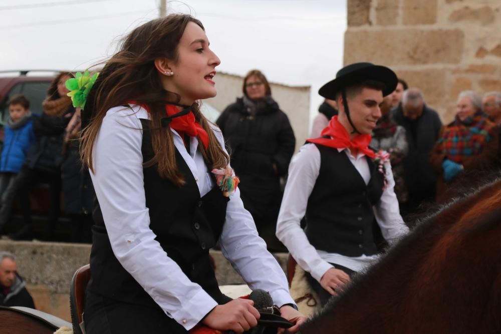 Carrera de gallos de San Miguel de la Ribera