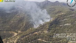 Estabilizado el incendio forestal declarado en el Parrizal de Beceite