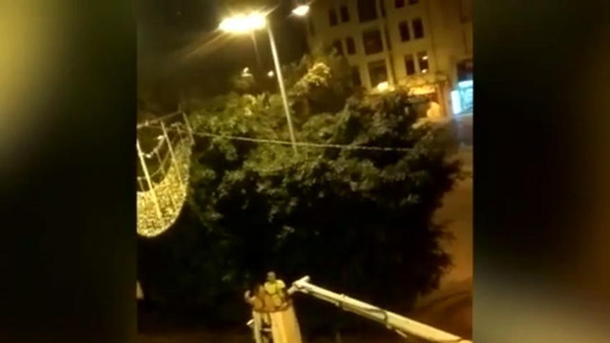 El increíble vídeo de una vecina 'colocando' las luces de Navidad en la plaza Fadrell de Castelló