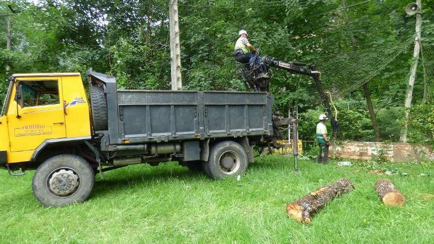 Operarios, ayer, trabajando en la limpieza del río Piloña.