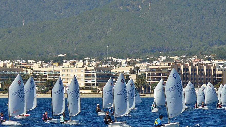 Una regata de la clase Optismist en las aguas de Ibiza.