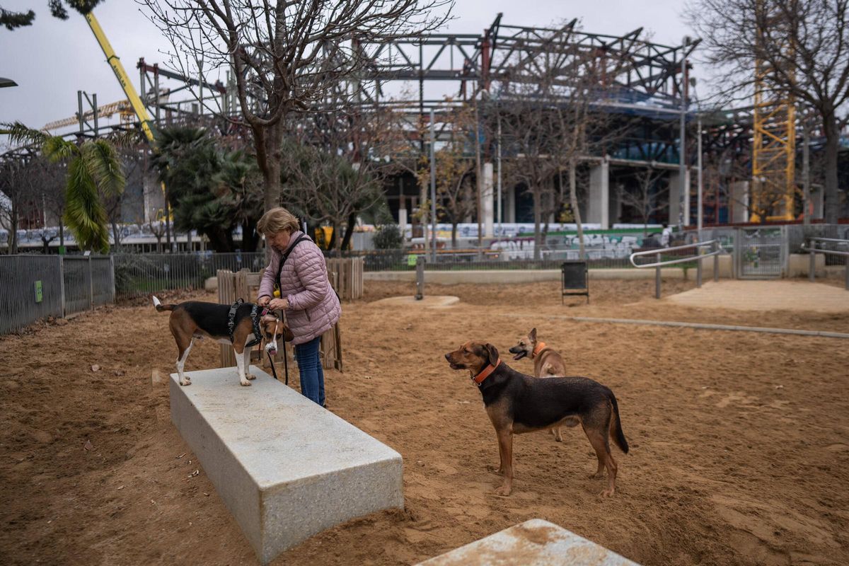 Una mujer con sus perros en un parque en las inmediaciones del Camp Nou, en Barcelona.