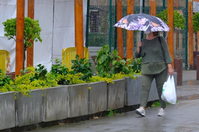 Las lluvias riegan Gran Canaria (17/01/22)