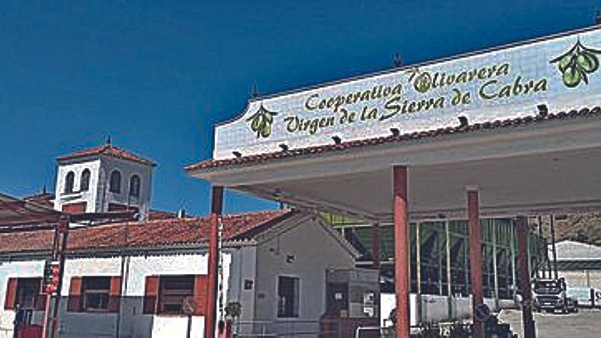 Imagen de las instalaciones de la cooperativa Virgen de la Sierra.