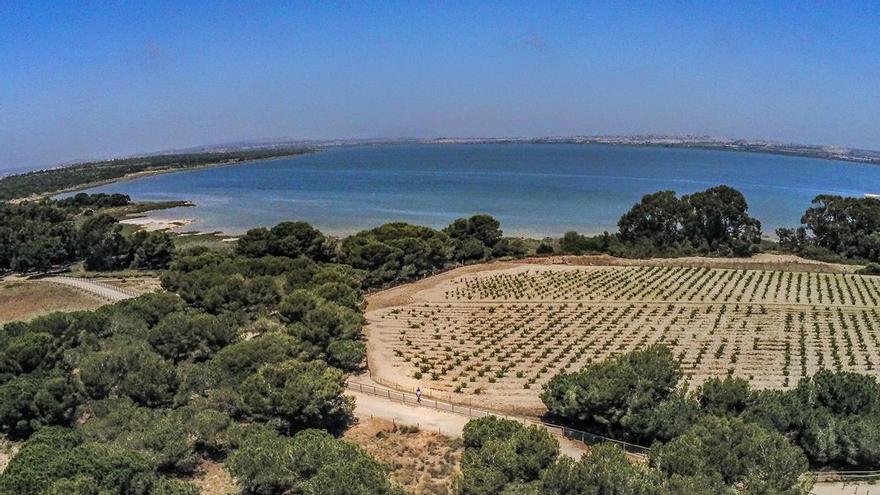Los ecologistas denuncian que los parques naturales del sur de Alicante llevan tres años sin reunir sus juntas rectoras