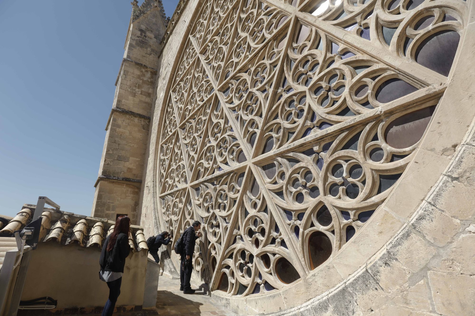 Spektakuläre Aussicht: So ist der Blick von der Dachterrasse der Kathedrale in Palma de Mallorca