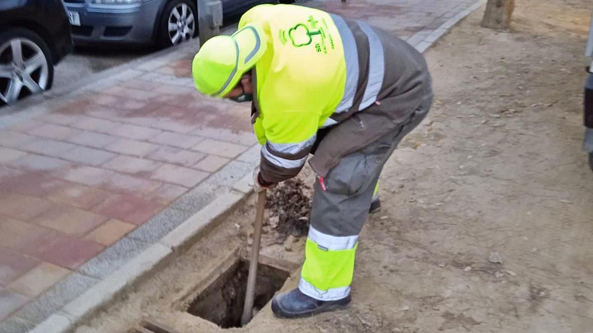 Un operario realiza ayer labores de limpieza en uno de los imbornales de la ciudad.