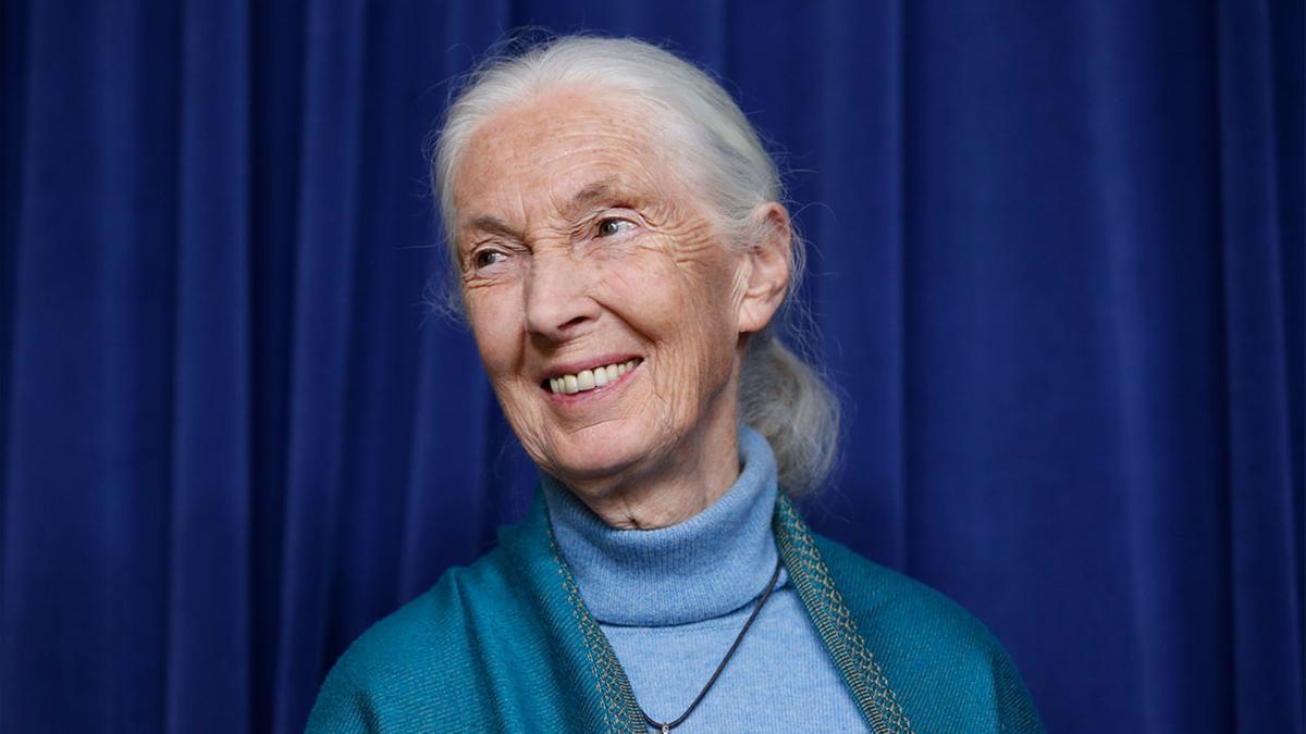 Jane Goodall nos dejó este año