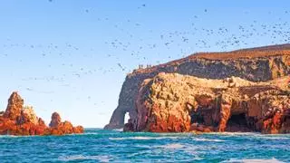 Islas Ballestas, el tesoro natural de Perú