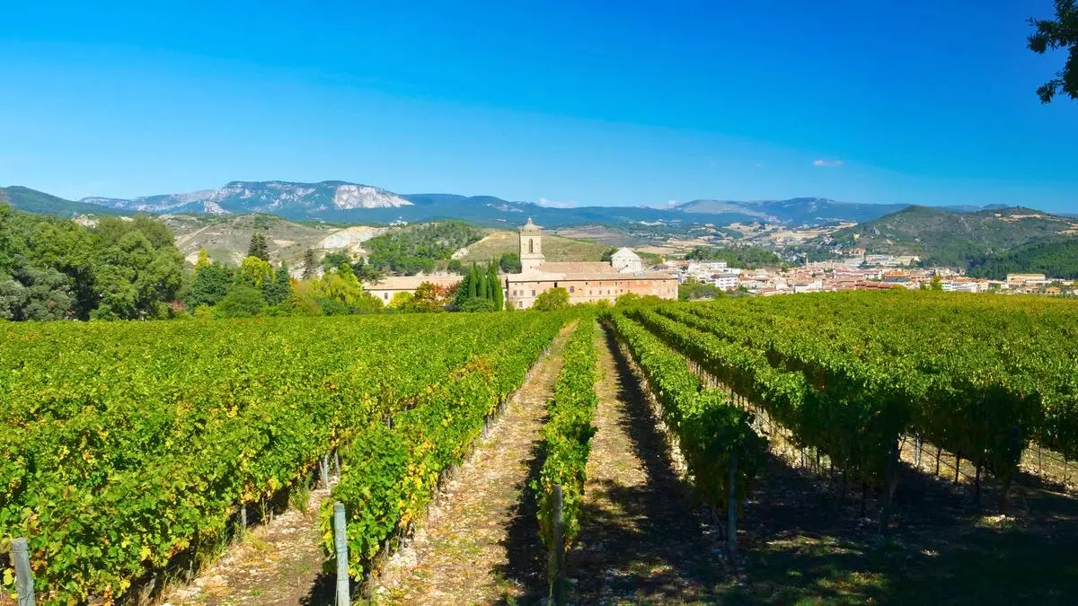 El pueblo navarro del Camino de Santiago con una fuente de vino gratuita las 24 horas