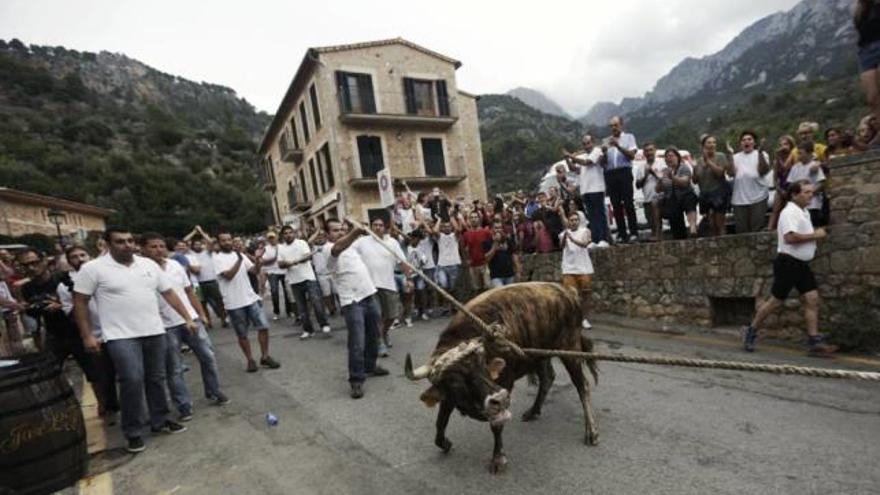 El ´correbou´ se celebra durante las fiestas patronales de Fornalutx.