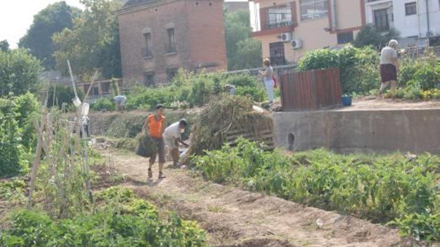 Godella reclama al Gobierno vigilancia para la huerta