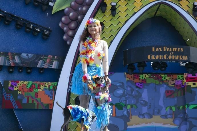 24.02.19. Las Palmas de Gran Canaria. Carnaval 2019. Concurso Carnaval Canino 2019. Yamile Vélez Sánchez, presenta a Etoo e Isa, con la fantasía "Hawaianos". Foto Quique Curbelo