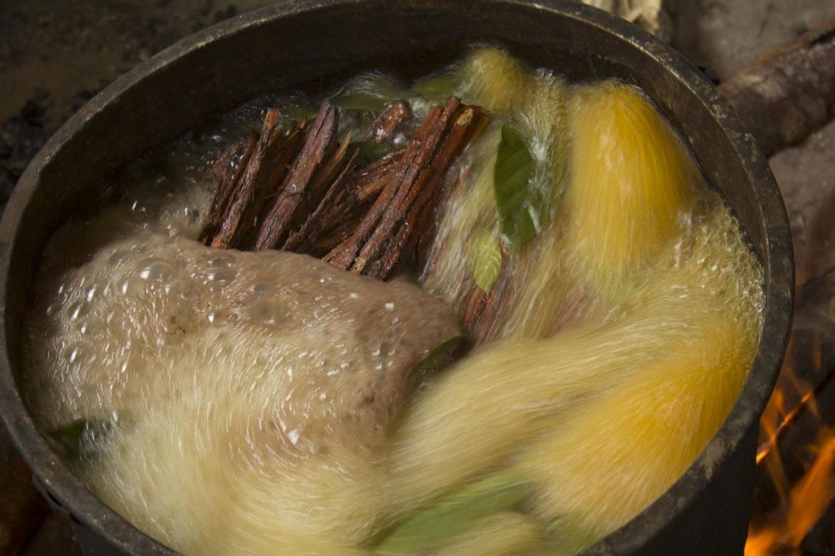Preparación de ayahuasca en la selva amazónica. Preparación de ayahuasca en la selva amazónica.