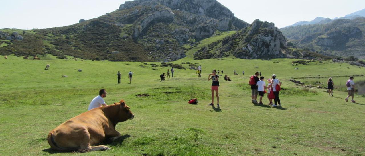 Visitantes en el Parque Nacional de los Picos de Europa.