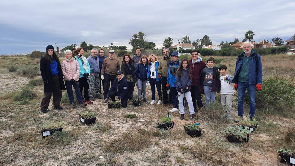 Participantes en la plantación dunar de la playa de Corinto.