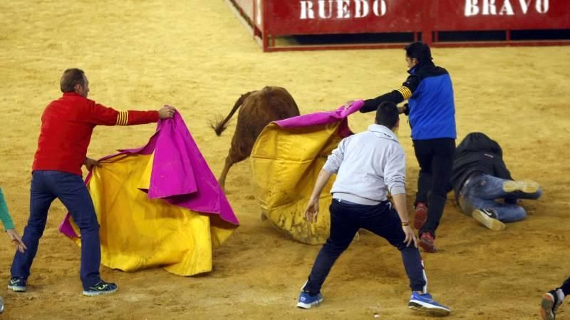 Suelta de vaquillas