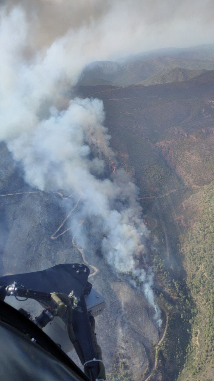 Un incendio forestal pone en alerta a Calles, en La Serranía