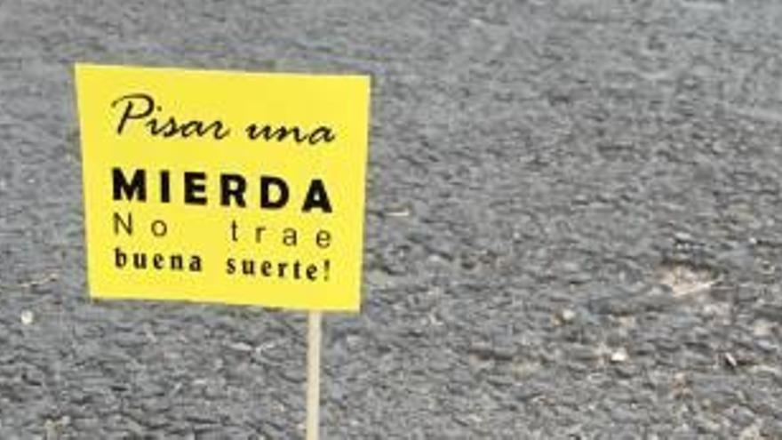 Los excrementos de perros en calles y jardines se reducen más de un 50 %