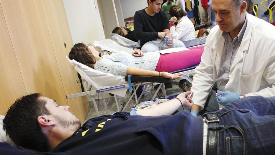 Imagen de archivo de una campaña de donación de sangre en Sevilla en 2014.