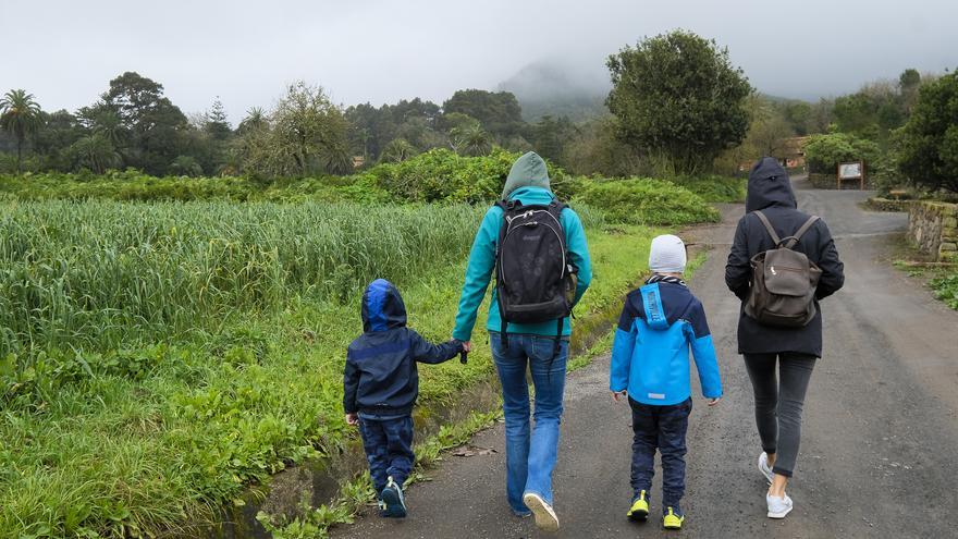 Gran Canaria crea 19 corredores ecológicos entre pinares, costas y barrancos