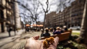 L’al·lèrgia al pol·len dispara la venda de mascaretes i antihistamínics a les farmàcies de Catalunya: "Va ser espectacular"