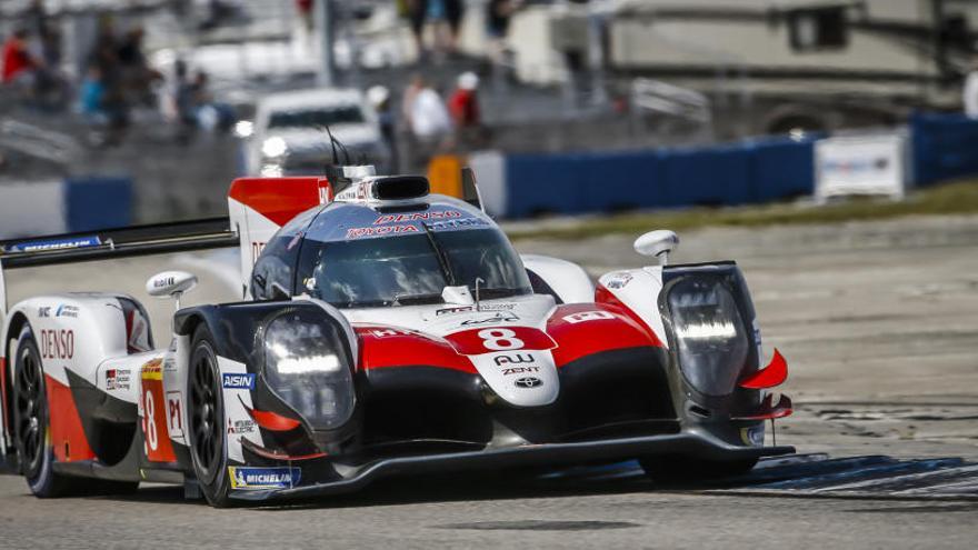 Fernando Alonso en Sebring.