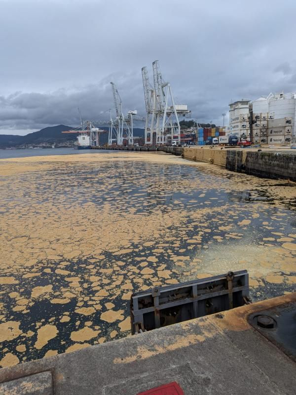 El aceite de palma mancha la ría de Vigo tras romper un tanque en el muelle de Guixar