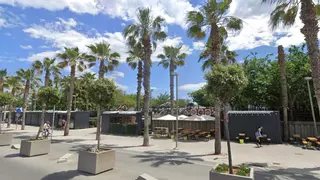 Alcanzada una mujer al caer un rayo en el árbol bajo el que buscó refugio en la Marina de València