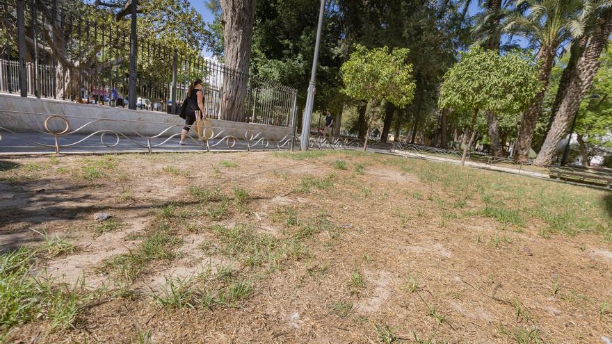 La ausencia de riego pone en peligro la vegetación de la Glorieta de Orihuela, con falta de iluminación y fuentes rotas